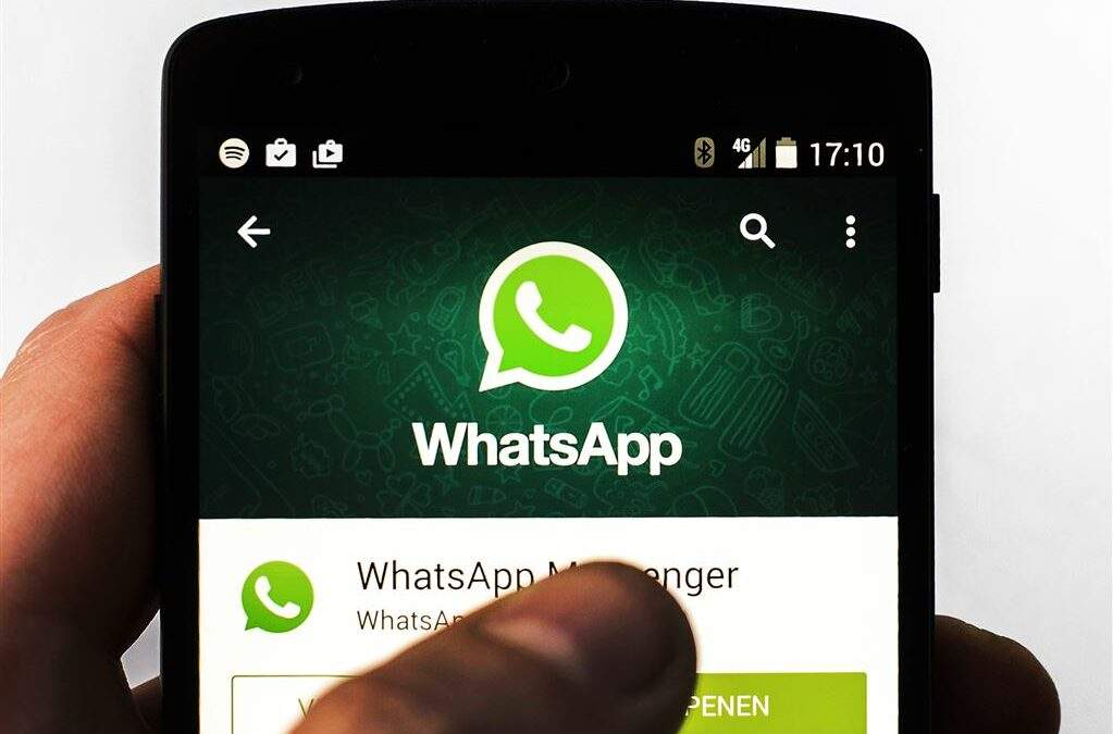 contact WhatsApp